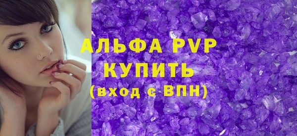 индика Богданович